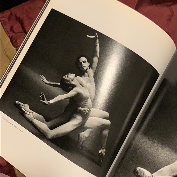 Large Paperback Book - Picture 6 of 8